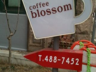 Coffee Blossom