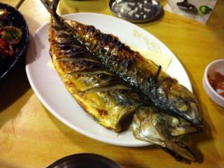 コサミ 新村店