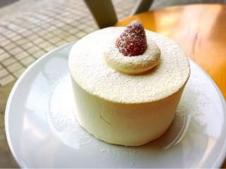 ours blanc