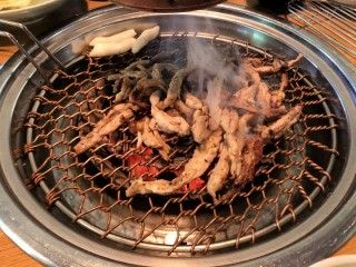 細尾鶏