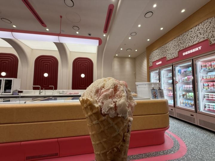 【超美品】韓国限定品 バスキンロビンス×カカオフレンズ　ライト ロッテ免税店