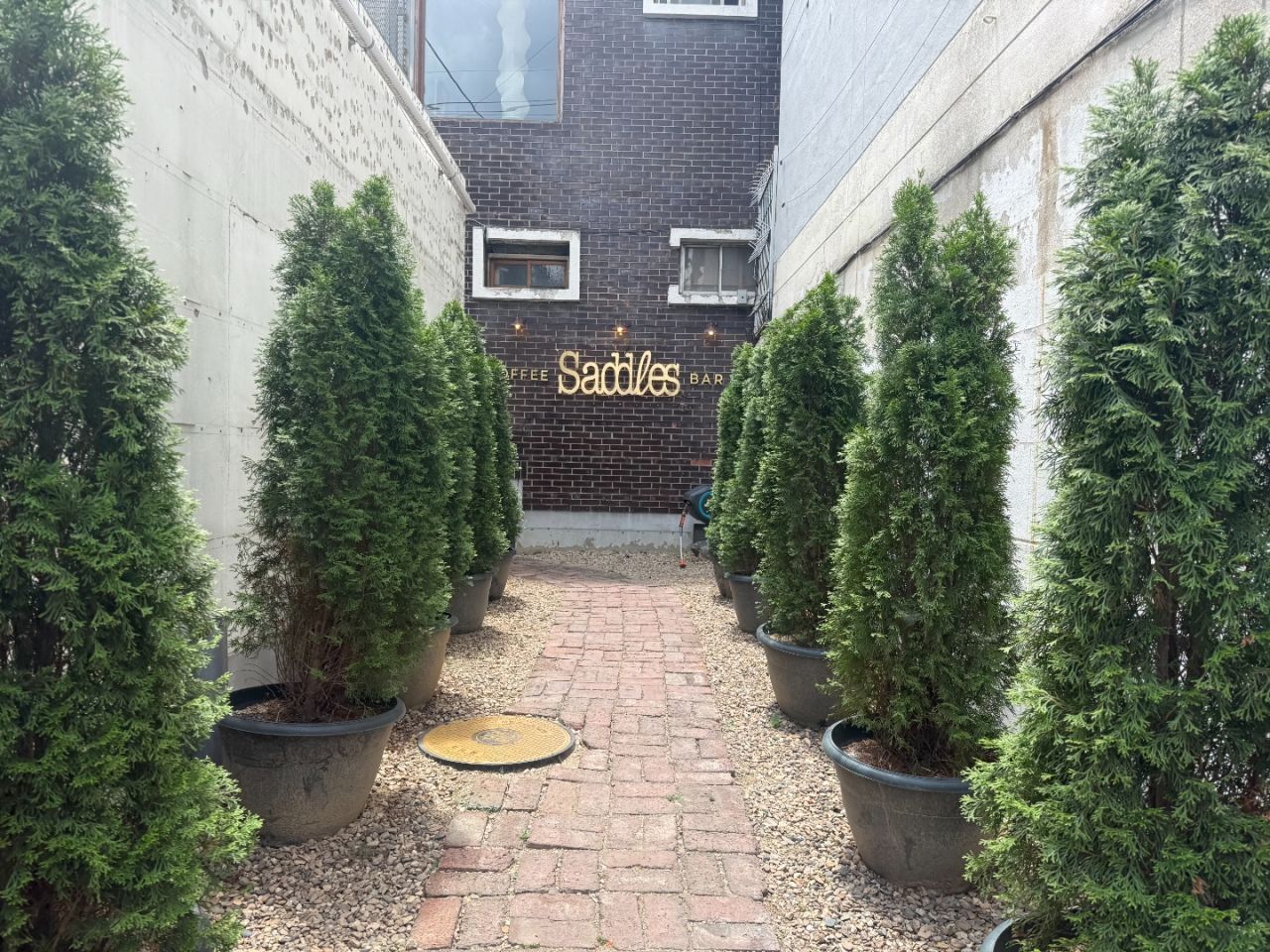 Saddles COFFEE&BAR｜大邱(安東・大邱・慶尚道)のグルメ・レストラン