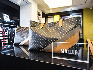 MOLDIR
