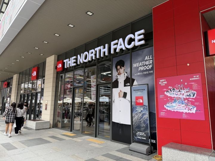 THE NORTH FACE