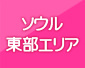 ソウル東部エリア ソウル東部エリア