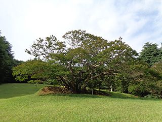 華池公園